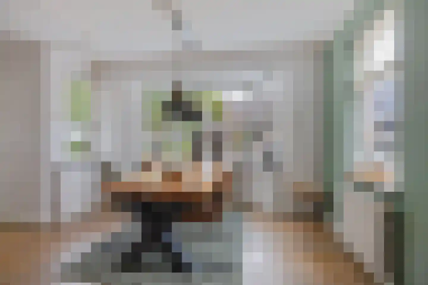 Oosterstraat 95 Ter Apel thumbnail 9