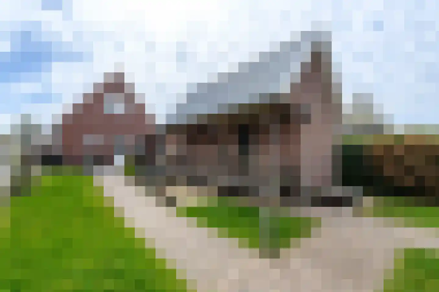 Oosterstreek 93 Oosterstreek thumbnail 30