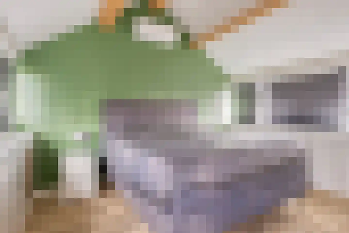 Oostertuinen 43 Beverwijk thumbnail 23
