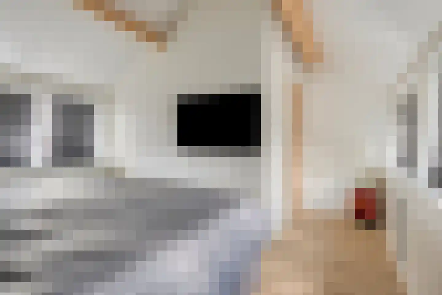 Oostertuinen 43 Beverwijk thumbnail 24