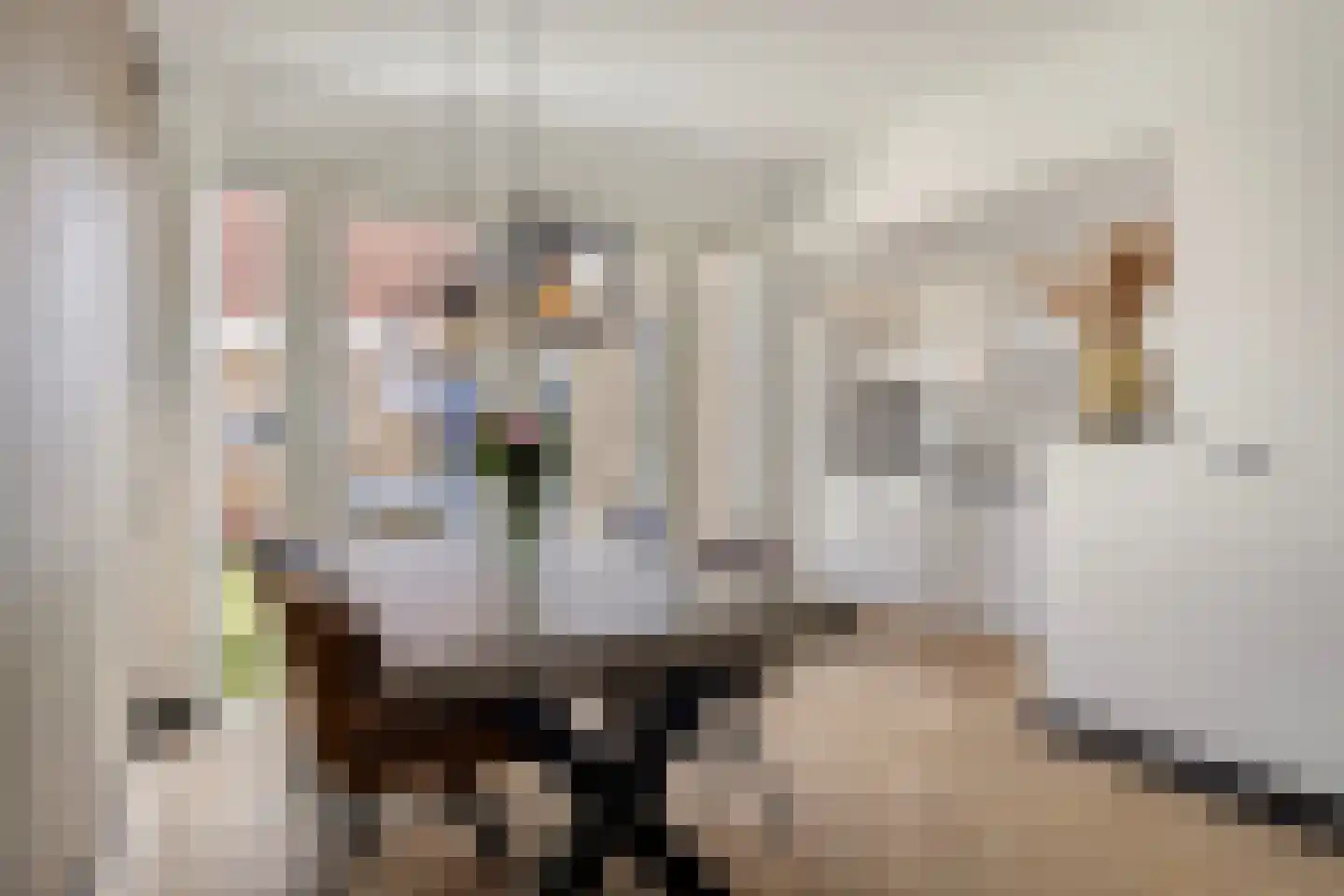 Oostertuinen 43 Beverwijk thumbnail 5