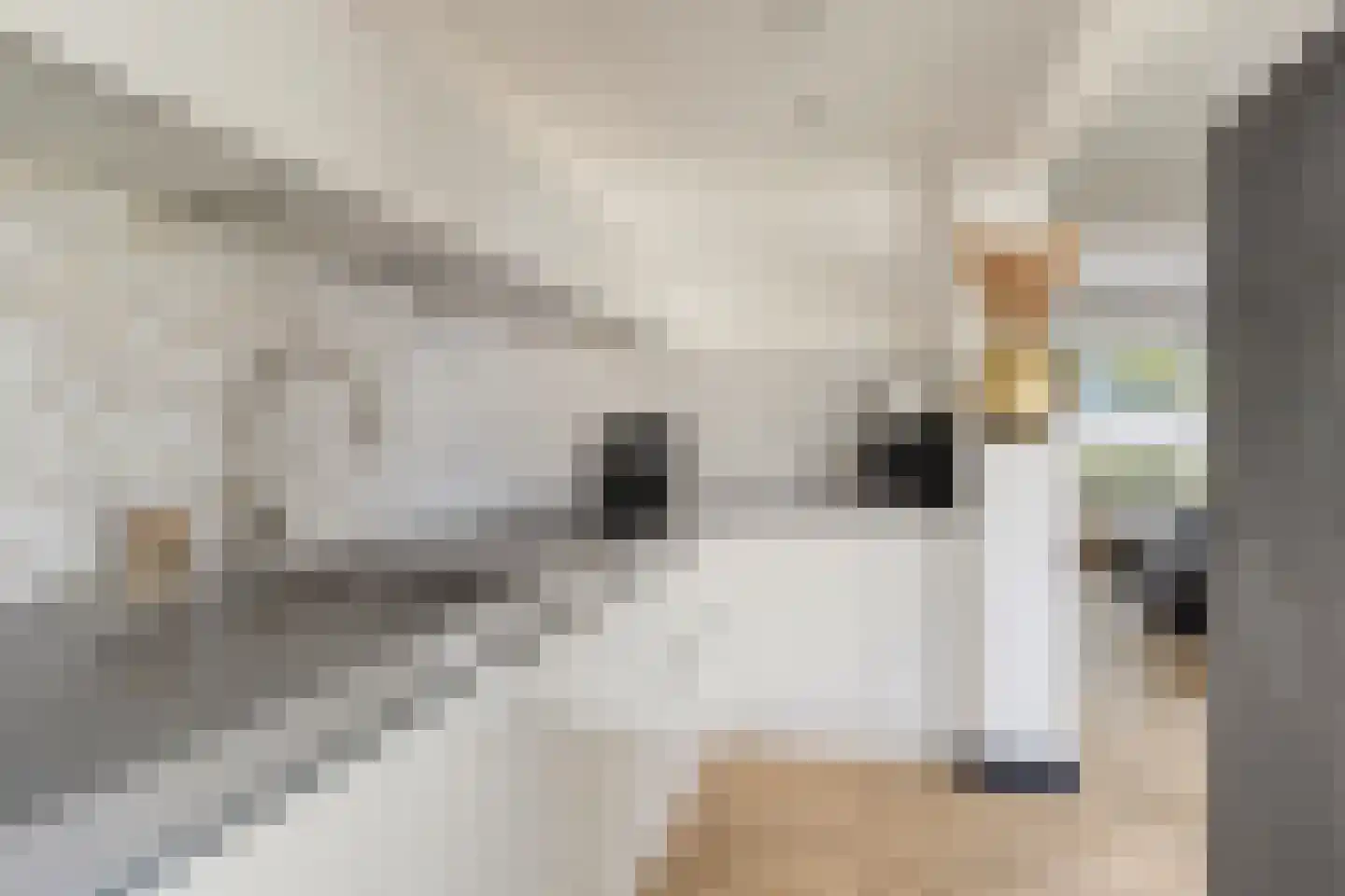 Oostertuinen 43 Beverwijk thumbnail 6