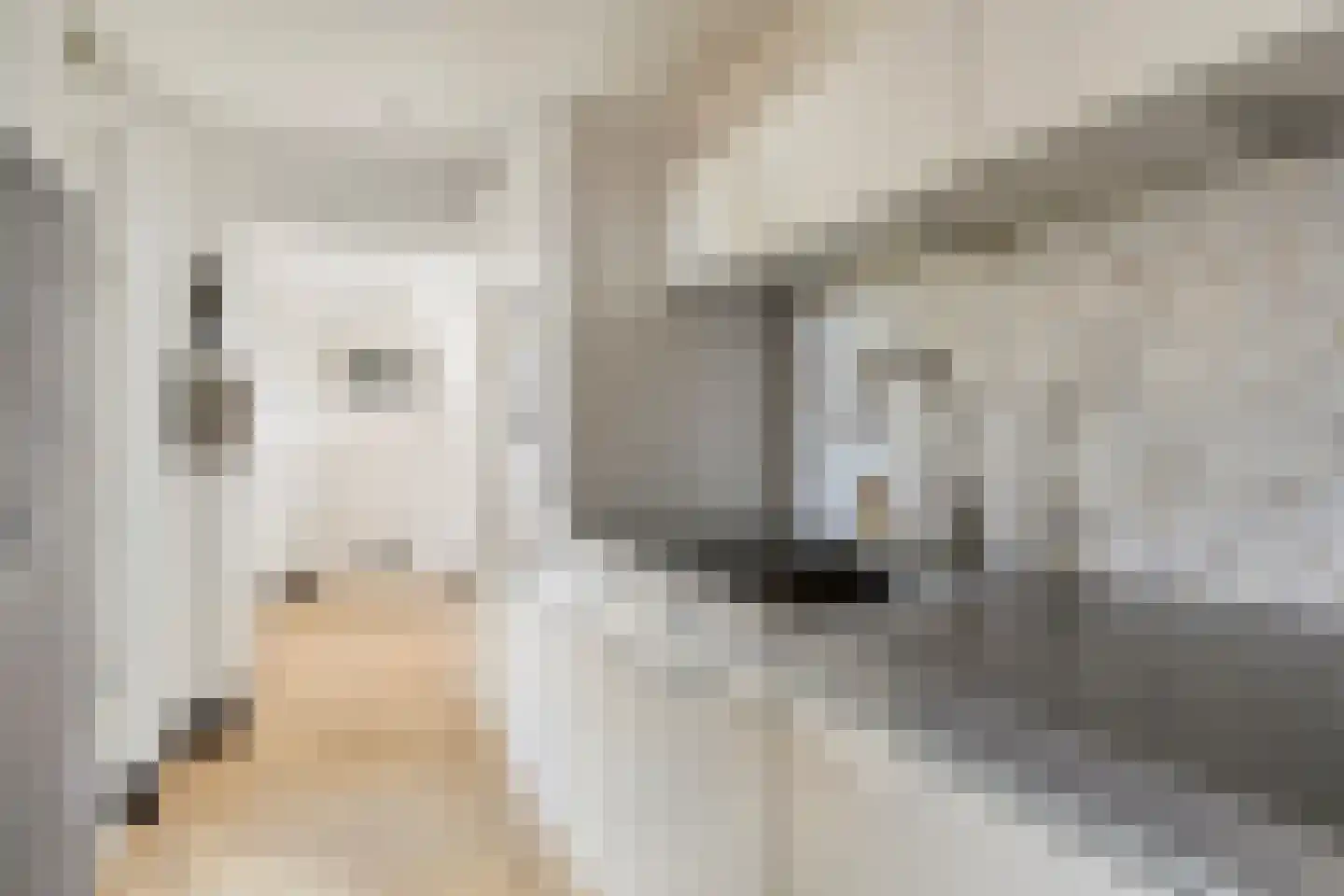 Oostertuinen 43 Beverwijk thumbnail 7