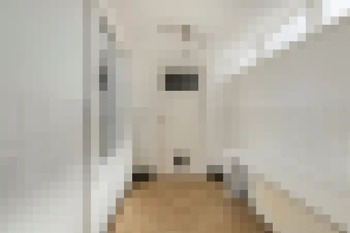 Oostertuinen 43 Beverwijk thumbnail 9