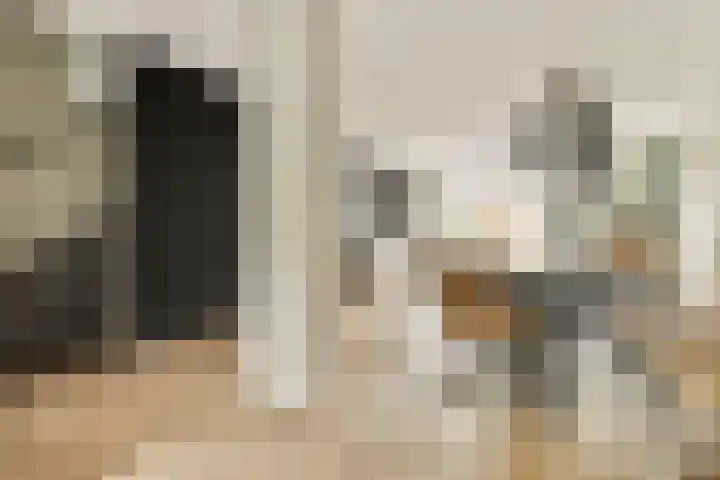 Oostertuinen 64 Beverwijk thumbnail 16