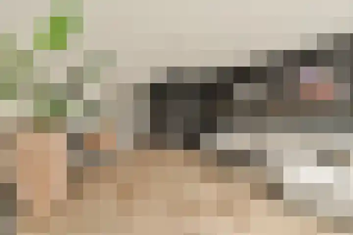 Oostertuinen 64 Beverwijk thumbnail 17