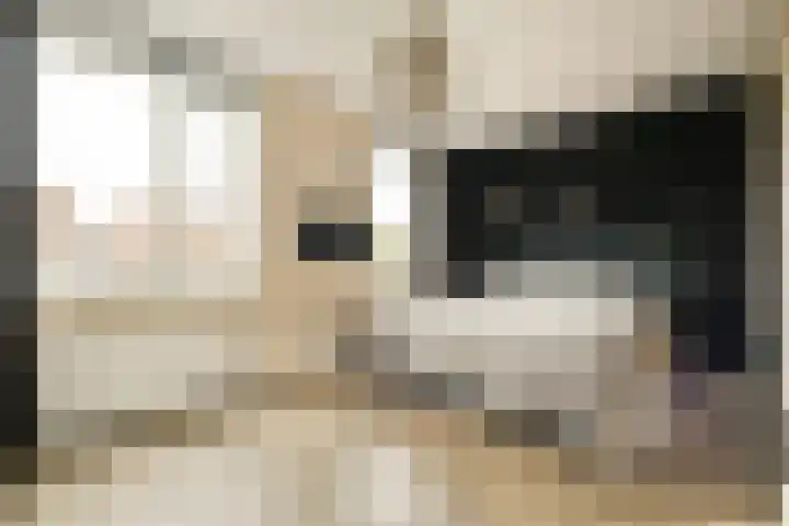 Oostertuinen 64 Beverwijk thumbnail 7