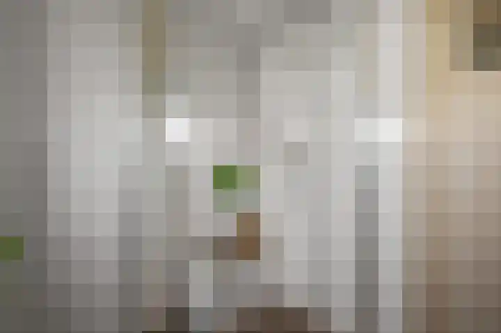 Oostertuinen 87 Beverwijk thumbnail 27