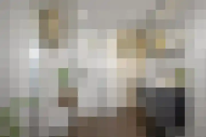 Oostertuinen 87 Beverwijk thumbnail 29