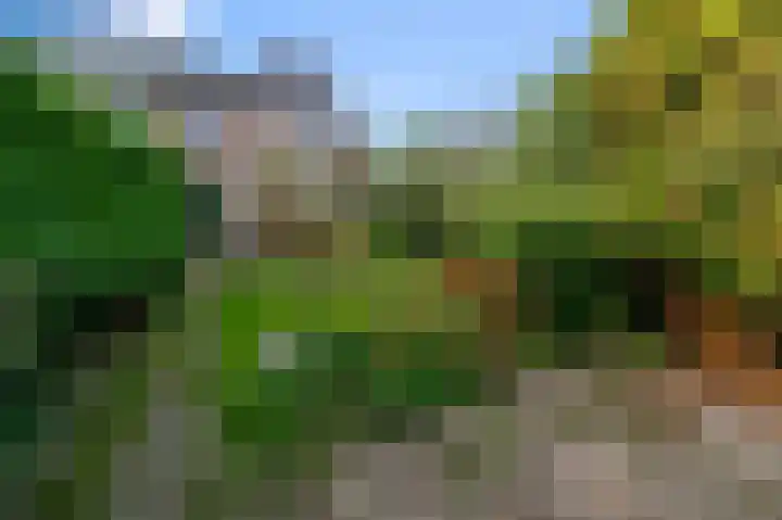 Oostertuinen 87 Beverwijk thumbnail 37