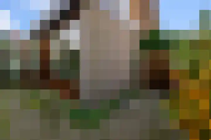 Oostertuinen 87 Beverwijk thumbnail 38