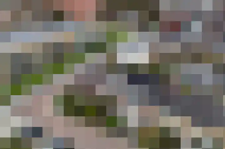 Oostertuinen 87 Beverwijk thumbnail 41