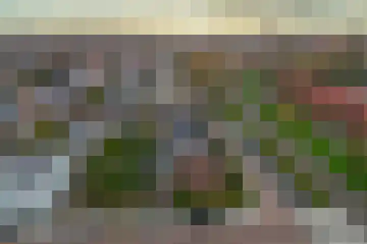 Oostertuinen 87 Beverwijk thumbnail 42