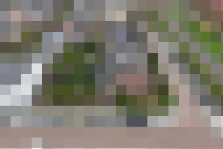 Oostertuinen 87 Beverwijk thumbnail 43