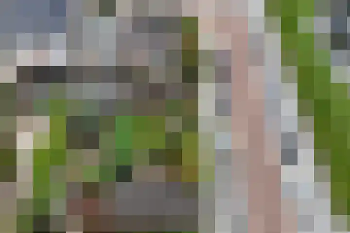 Oostertuinen 87 Beverwijk thumbnail 44