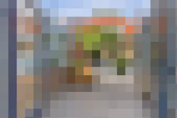 Oostertuinstraat 8 Enkhuizen thumbnail 13