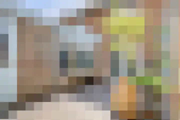 Oostertuinstraat 8 Enkhuizen thumbnail 14