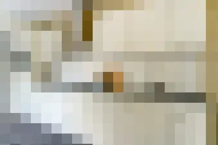 Oostertuinstraat 8 Enkhuizen thumbnail 17