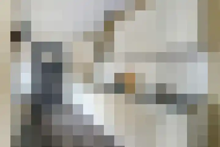 Oostertuinstraat 8 Enkhuizen thumbnail 18