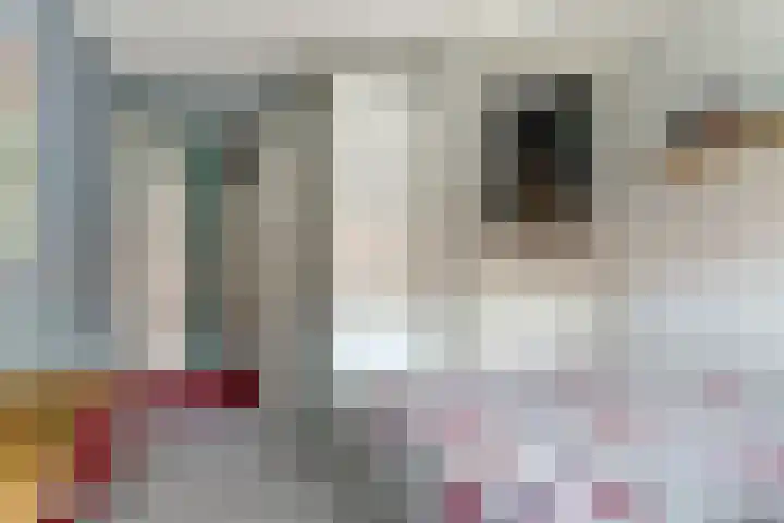 Oostertuinstraat 8 Enkhuizen thumbnail 36