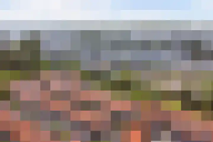 Oostertuinstraat 8 Enkhuizen thumbnail 4
