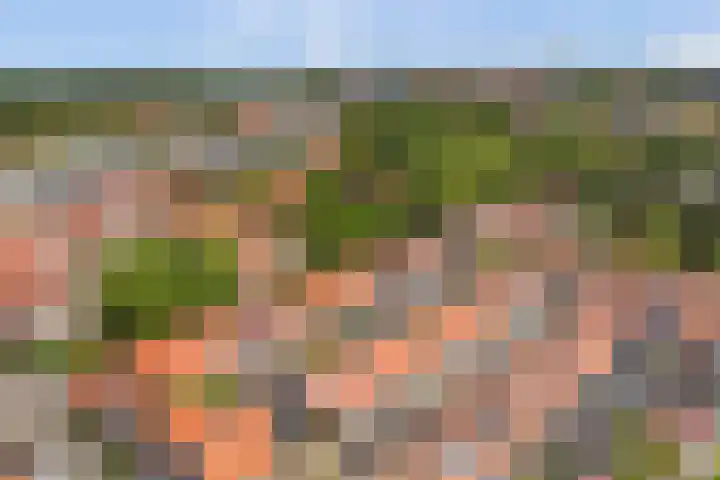 Oostertuinstraat 8 Enkhuizen thumbnail 44