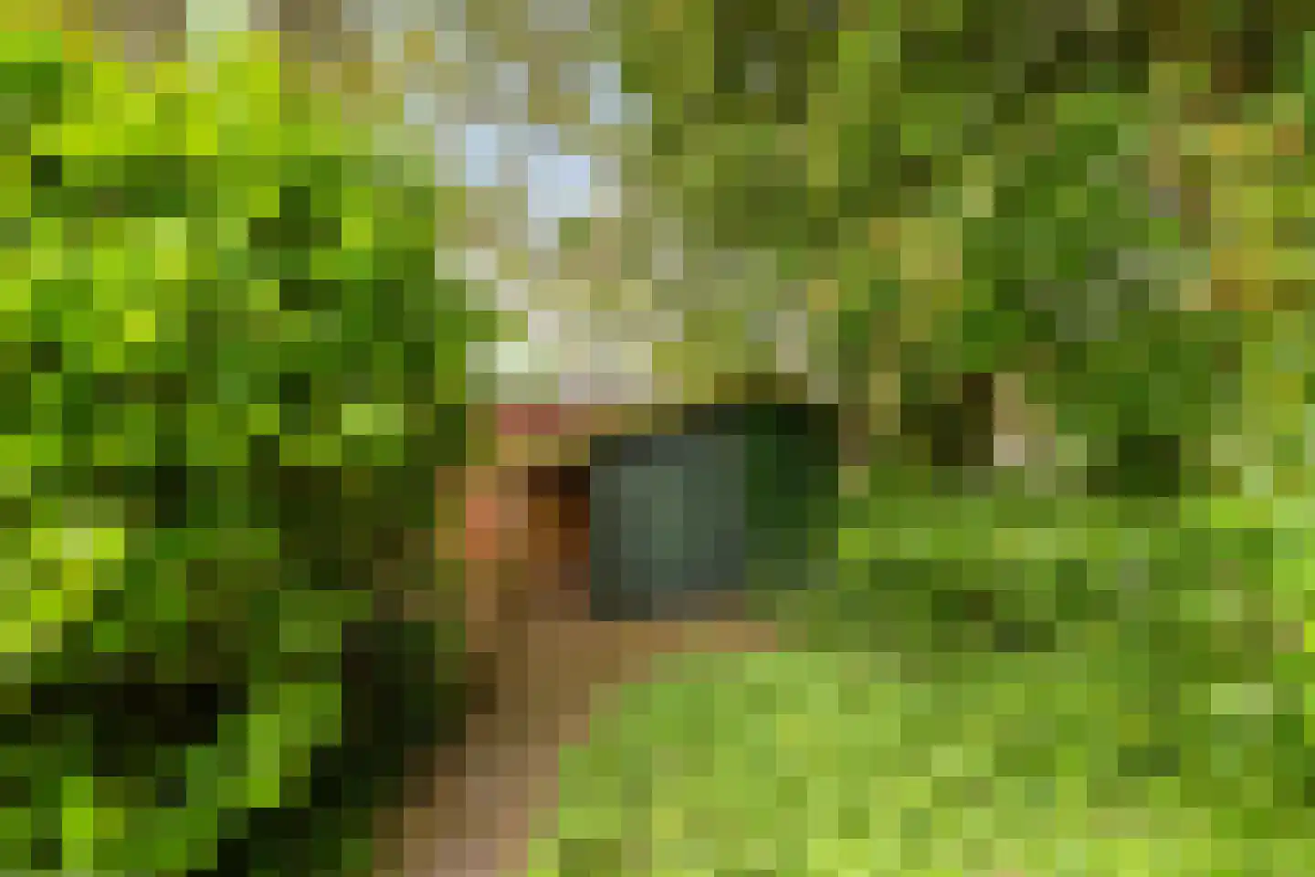 Oostervalge 1 Warffum thumbnail 10