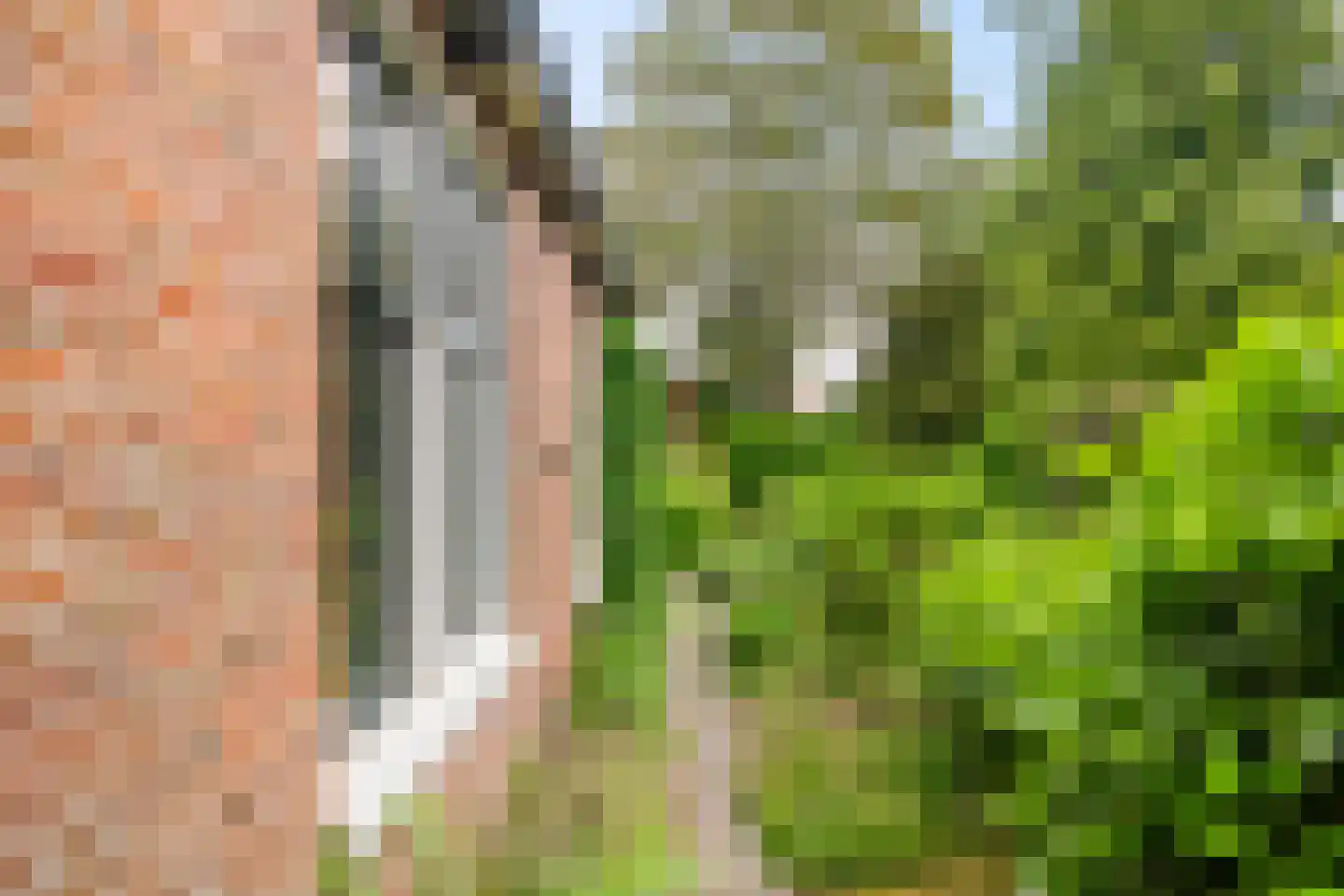 Oostervalge 1 Warffum thumbnail 27