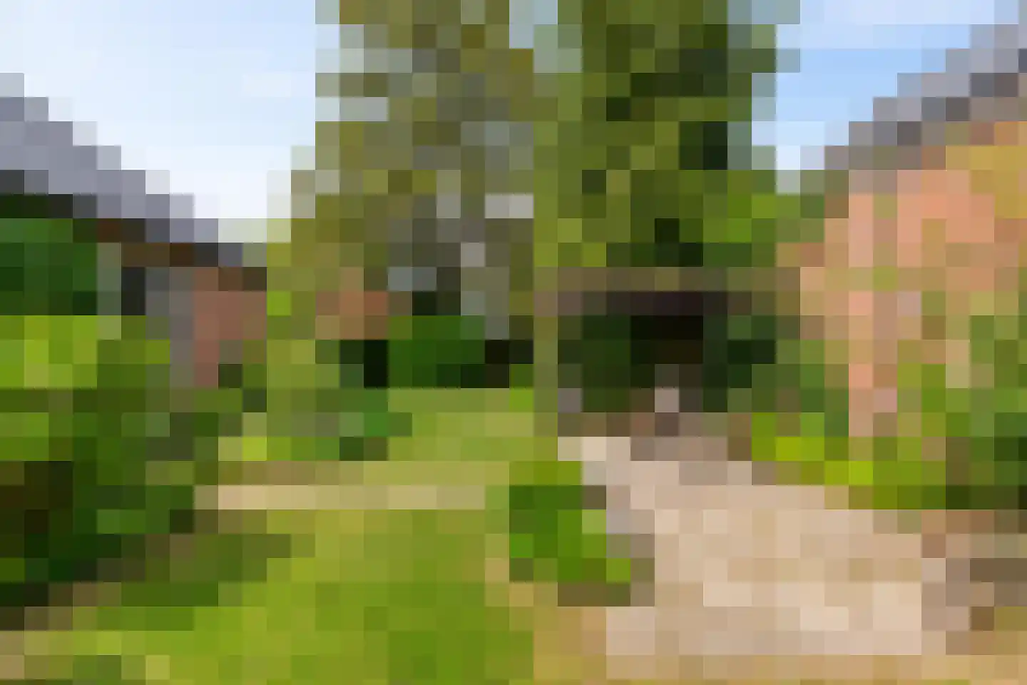 Oostervalge 1 Warffum thumbnail 8