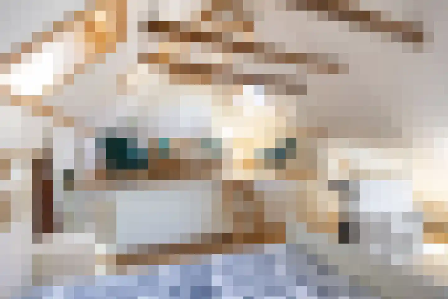 Oostervalge 50 Warffum thumbnail 69