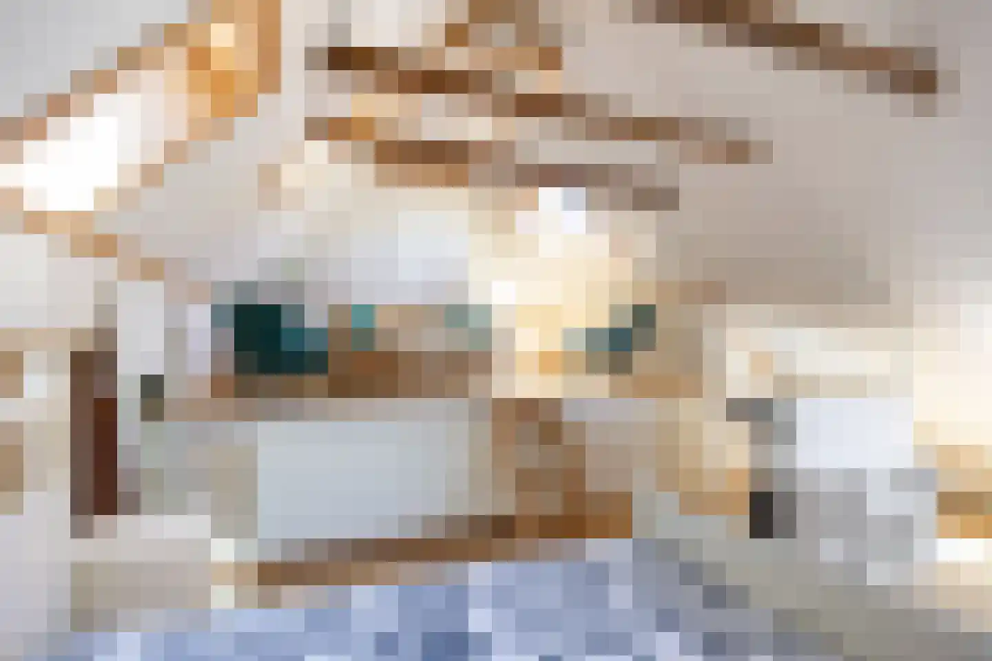 Oostervalge 50 Warffum thumbnail 69