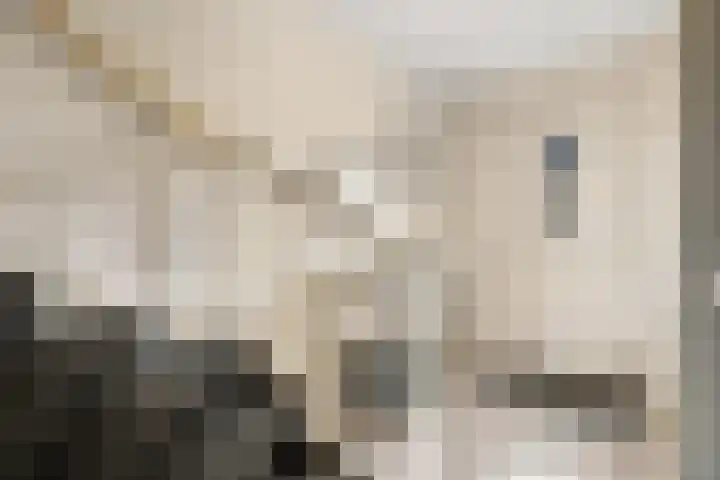 Oosterveen 12 Raalte thumbnail 12