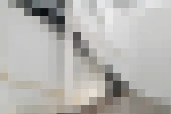 Oosterveen 12 Raalte thumbnail 13
