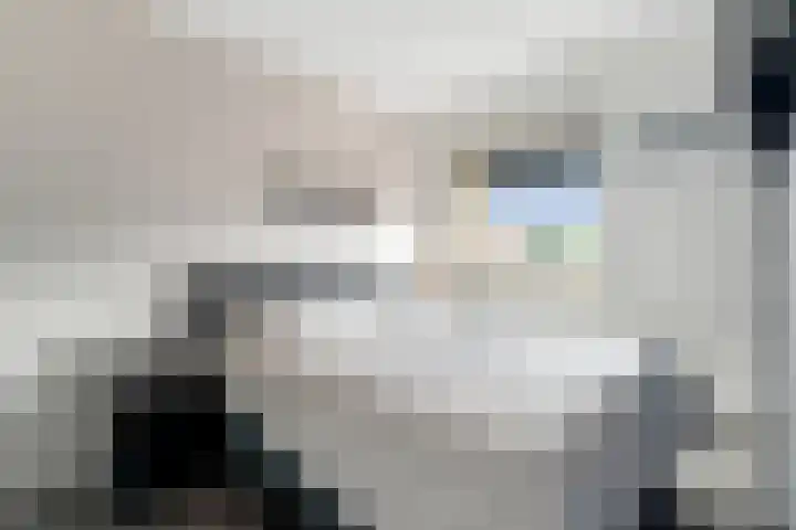 Oosterveen 12 Raalte thumbnail 14