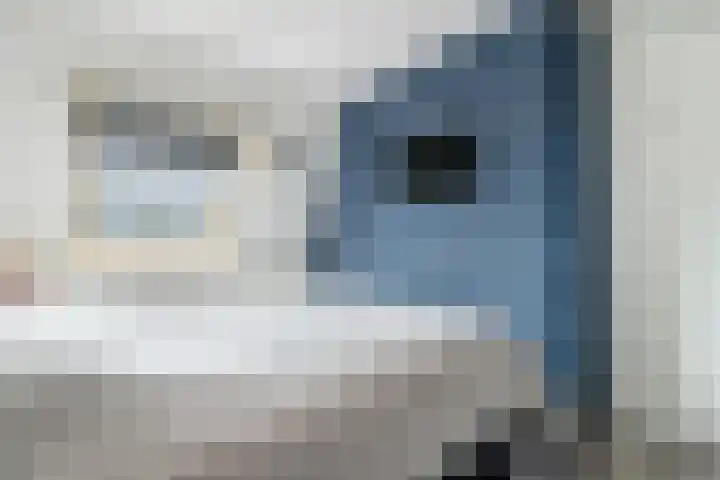 Oosterveen 12 Raalte thumbnail 15