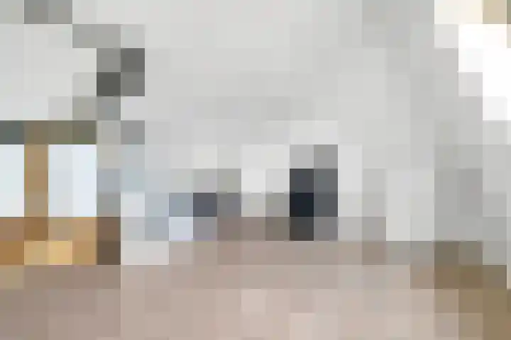 Oosterveen 12 Raalte thumbnail 21