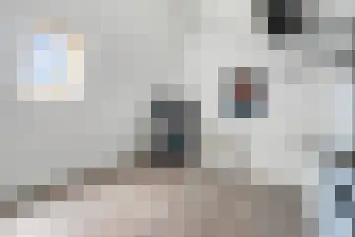 Oosterveen 12 Raalte thumbnail 23