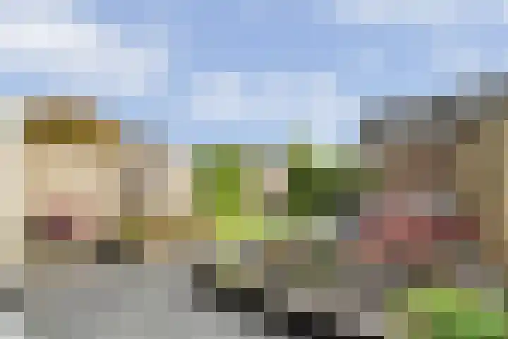 Oosterveen 12 Raalte thumbnail 24