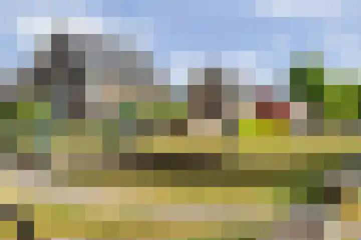 Oosterveen 12 Raalte thumbnail 25