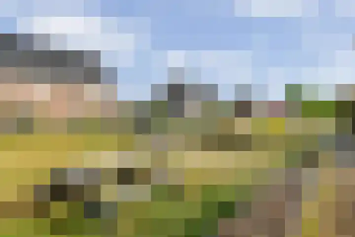 Oosterveen 12 Raalte thumbnail 26