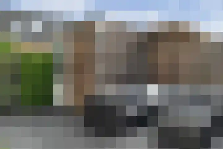 Oosterveen 12 Raalte thumbnail 27