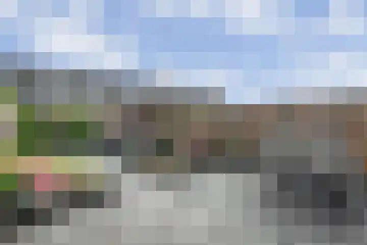Oosterveen 12 Raalte thumbnail 29