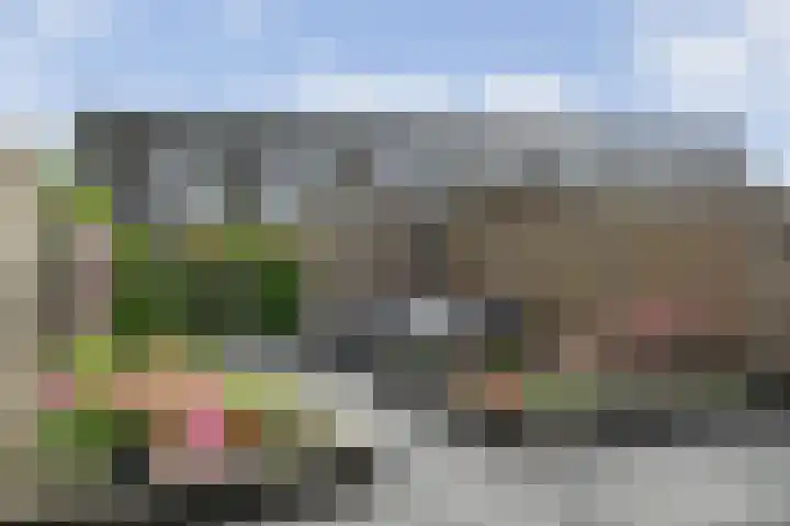 Oosterveen 12 Raalte thumbnail 30