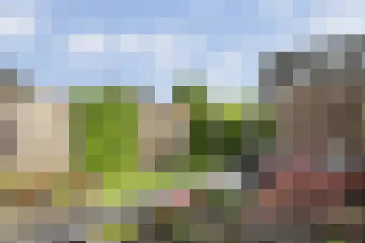 Oosterveen 12 Raalte thumbnail 31