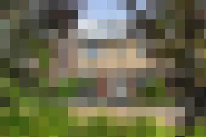 Oosterveen 12 Raalte thumbnail 32