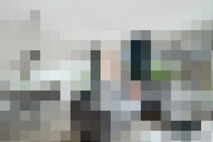 Oosterveen 12 Raalte thumbnail 4