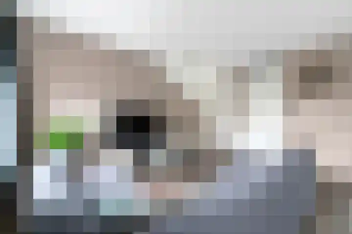Oosterveen 12 Raalte thumbnail 5