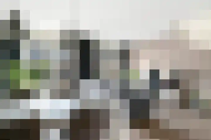 Oosterveen 12 Raalte thumbnail 7