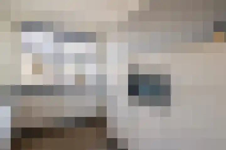 Oosterveen 17 Raalte thumbnail 10