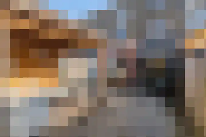 Oosterveen 17 Raalte thumbnail 24